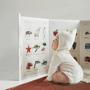 littlelife 마그넷 아기 병풍