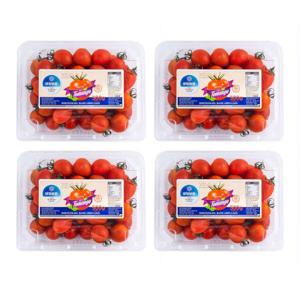 GAP 싱싱한 토망고 2kg (500g x4팩) 스테비아 대추방울토마토