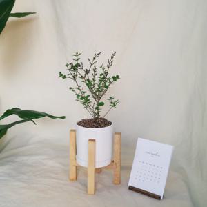 미스김 라일락M - 원통 세라믹