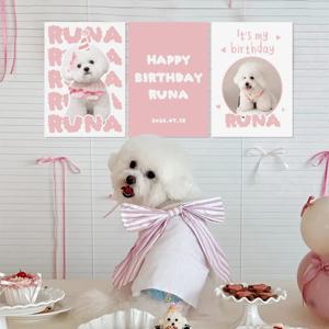 A4 몽글 포토 포스터 3세트 핑크 생일 포토존 가랜드 강아지 고양이 사진