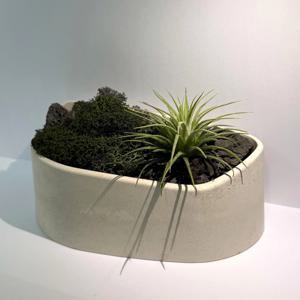 GREENEO 스칸디아모스 테라리움 키트 이끼화분 인테리어 소품