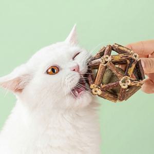 고양이 마따따비 캣닢 공 볼 대왕 캣잎 장난감