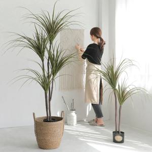 리얼리티 드라세나 마지나타 드라코 유카 인조 나무 화분 카페 인테리어 조화