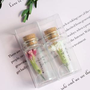 가정의달 카네이션 드라이플라워 미니유리병-25ml 3colors
