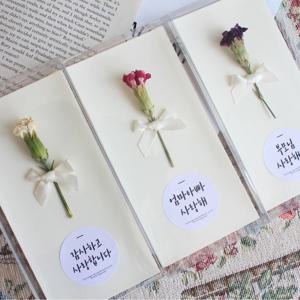 심플형 카네이션 드라이플라워 캘리그라피 용돈봉투 3colors