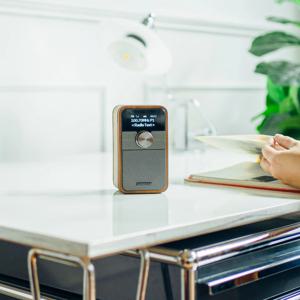 DDR-8 회전형 OLED 알루미늄 노브 블루투스 라디오