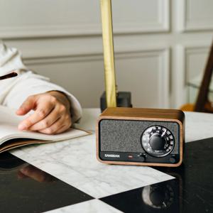 WR-8 프리미엄 레트로 우드 블루투스 라디오