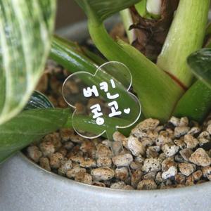 투명 거울 아크릴 식물이름표 플랜트라벨 동그라미 클로버 하트 말풍선 집모양 10개입