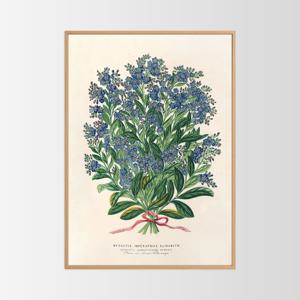 포에틱 아카이브 인테리어 포스터 액자 / 34 엘리자베스 여왕 물망초