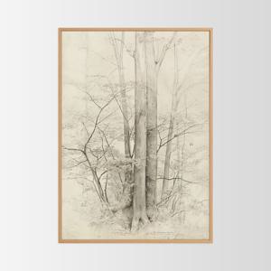 포에틱 아카이브 인테리어 포스터 액자 / 93 나무 숲