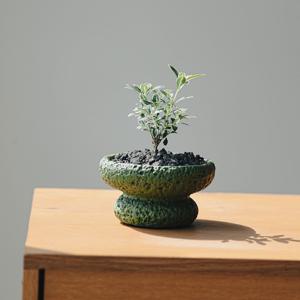 백정화(유월설) 스톤스탠드