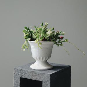 디스키디아 포켓디시디아 헤리티지고블렛