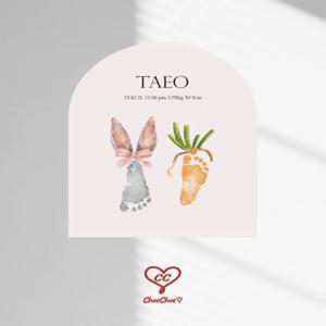 잉크가 필요없는 Bunny & Carrot 발도장 포스터 아치형 (신생아~100일 추천)