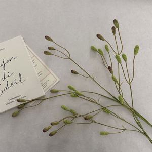 라그라스 조화 2colors