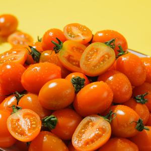 부여 황금방울토마토 주황방울토마토 골드찬스 500g 혼합과 외