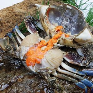 산지직송 태안 생물 알배기 꽃게 1kg(3~5미)