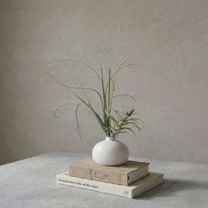 선인장 틸란데시아 조화 꽃다발 세트+화병세트 인테리어 소품 이오난사