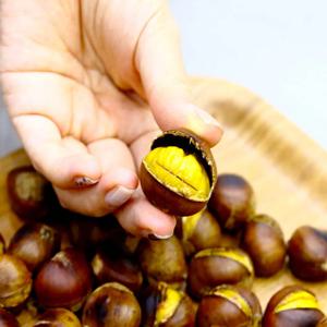 고소한 천진 약단밤 1kg 외