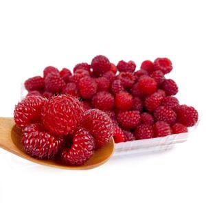 산지에서 당일 수확한 싱싱한 산딸기(생과) 250g 1팩/2팩/3팩/4팩