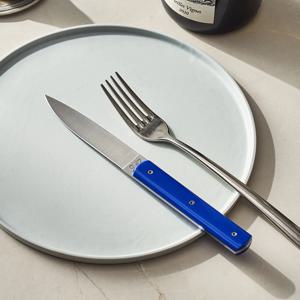 9.47 스테이크나이프 프렌치블루