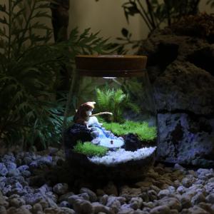 LED 무드등 테라리움 DIY 반려식물 키트 - 소담