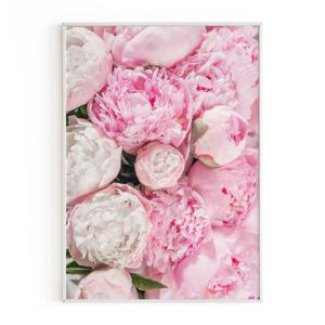 모란 목단 꽃 사진 포스터 액자 브로마이드 거실 핑크 풍수 액자