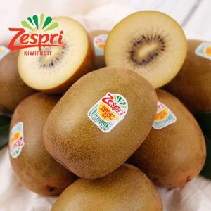 제스프리 골드 키위 점보,자이언트 점보