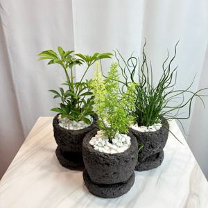 감성 인테리어 화분 라바스톤 현무암 오브제 공기정화 식물 3종 선택 소형
