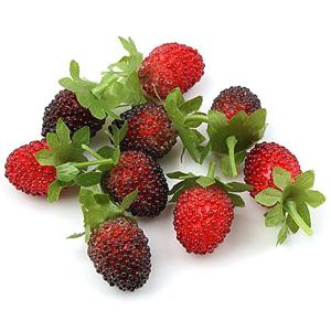 산딸기 모형 투톤레드 2.2cm 9개 과일모형