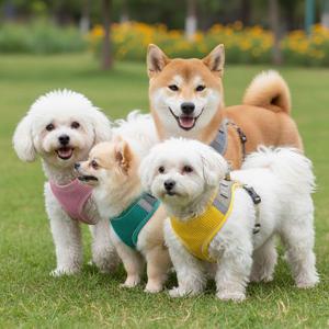 강아지 빛 반사 X형 찍찍이 하네스 세트
