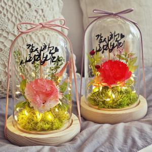 가정의달 카네이션 LED 유리돔 어버이날 스승의날 선물