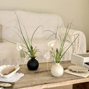 조화+화병세트 카라 틸란드시아 이오난사 달항아리 도자기 2color