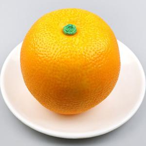 무게감 자몽 모형 만다린 11cm 과일모형 WR