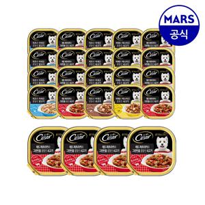 시저 캔 필렛 인 그레이비 100g 24개입