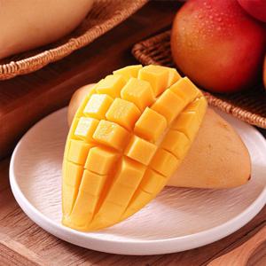 20brix 초고당도 태국 골드 망고 남독마이 선물세트