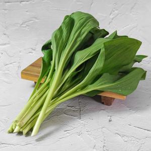 강원도 정선 고랭지 명이나물 2kg