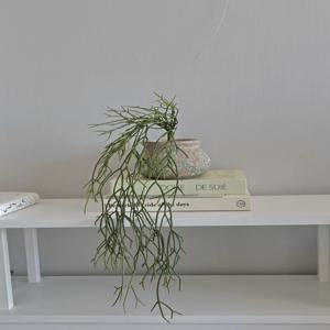 내추럴 드롭 라인 립살리스 조화 식물 화분 인테리어 오브제