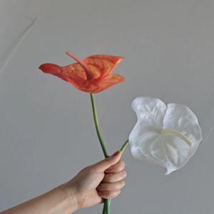 안스리움 조화 1송이 인테리어 플라워 (화이트/오렌지)