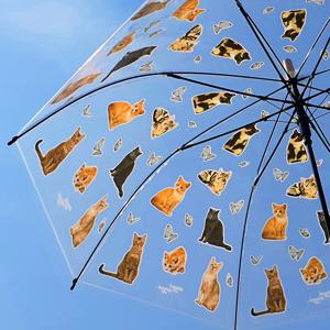 투명우산 - Alley Cat