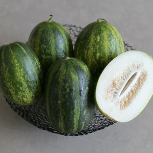 경북 고령 산지직송 달콤 파파야 메론 2kg 3kg 5kg