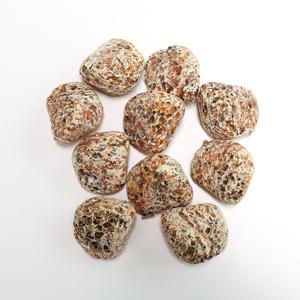 조화나무 화분 데코장식 이끼 모형 자갈 인조 장식 소품 화산석 10P