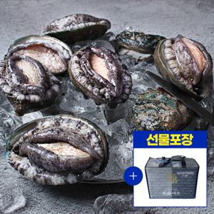 선물세트포장 완도 활전복 1kg(9~10미) + 전복칼증정