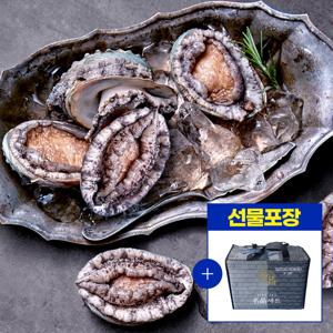 선물세트포장 완도 활전복 1kg(5~6미) + 전복칼증정