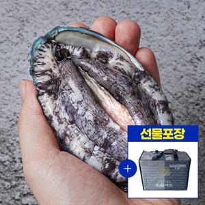선물세트포장 완도 활전복 1kg(6~7미) + 전복칼증정