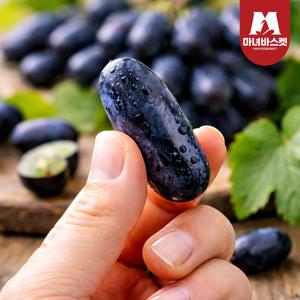 블랙사파이어 가지포도 900g (2수)