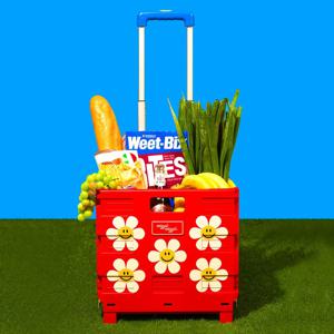 캠핑 접이식 폴딩 카트 핸드 쇼핑 장바구니 카트 - Smile We Love