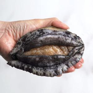 특대 활전복 1kg 산지직송 선물세트 6미부터