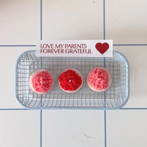 2구 세트 미니 티라이트 카네이션 캔들 어버이날 스승의날 감사의선물