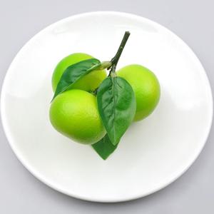 송이 청 귤 모형 그린 3H 4.7cm 과일모형