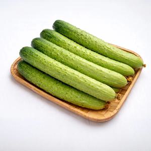 아삭하고 수분 가득한 백다다기 오이 5kg